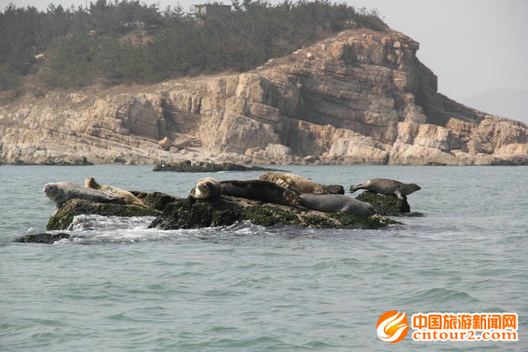 6月以后,游客还可到月牙湾景区海豹苑亲自喂食海豹,小黑山岛旅游攻略