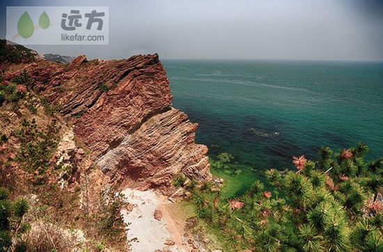 与万只海鸥成为朋友 山东烟台长岛自助游