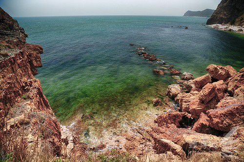 出海喂鸟吃海鲜 山东长岛让你玩到爽