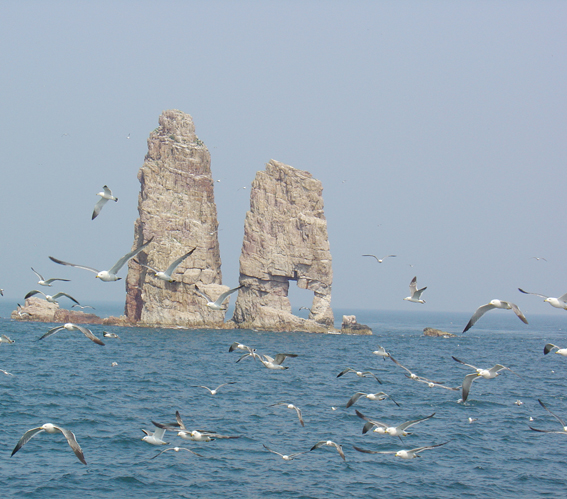 长岛风景